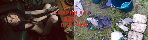 гидра Верхний Тагил