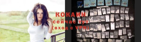 гидра Верхний Тагил