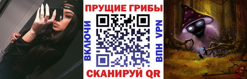 закладки  Кадников  Псилоцибиновые грибы Cubensis 
